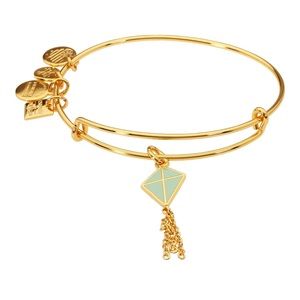 Alex and Ani Green Inspiration in Flight Flying Kites Charm Bangle NWOT